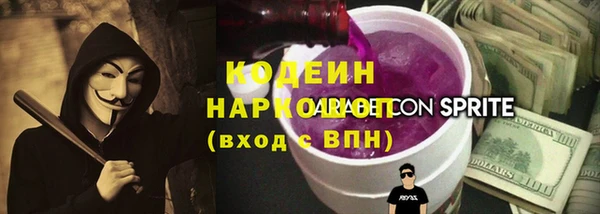 крисы Бронницы